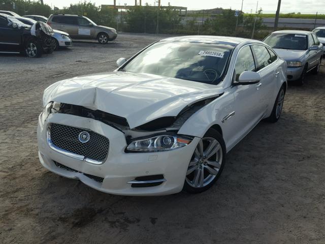 SAJWA2GB6BLV01505 - 2011 JAGUAR XJL BASE WHITE photo 2