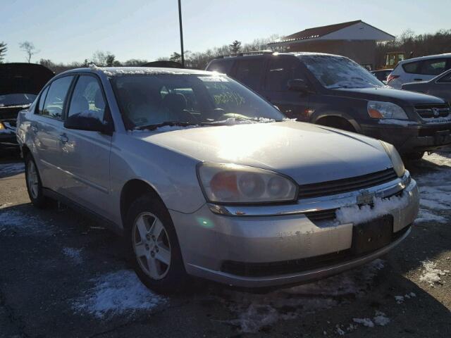1G1ZT54895F178563 - 2005 CHEVROLET MALIBU LS SILVER photo 1