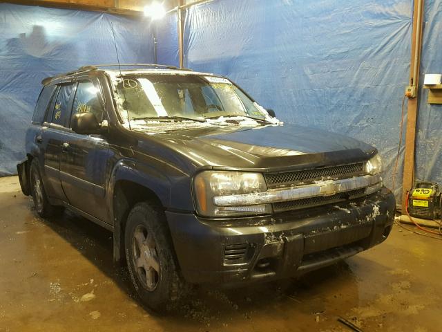 1GNDT13S952289412 - 2005 CHEVROLET TRAILBLAZE GRAY photo 1