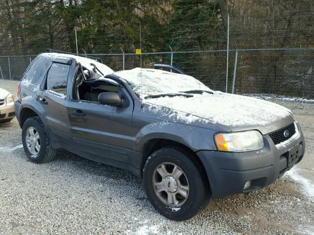 1FMYU031X4DA10590 - 2004 FORD ESCAPE XLT GRAY photo 1