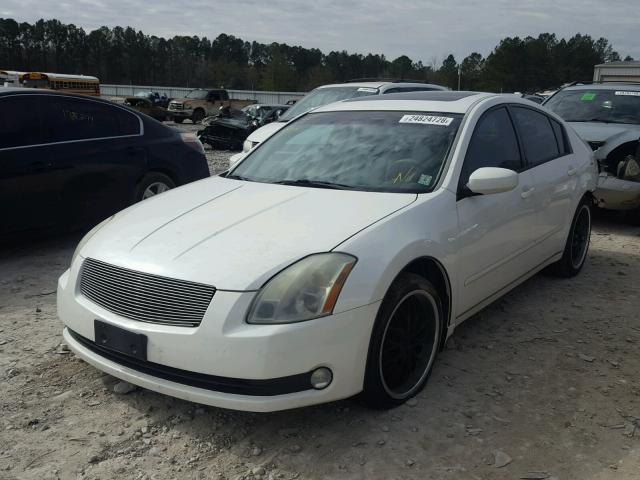 1N4BA41E26C820777 - 2006 NISSAN MAXIMA SE WHITE photo 2