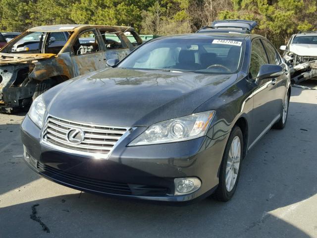 JTHBK1EG7A2349661 - 2010 LEXUS ES 350 BLACK photo 2