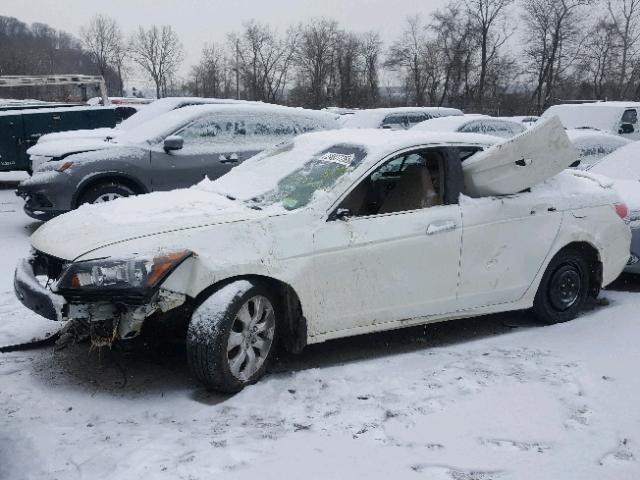 1HGCP36818A040599 - 2008 HONDA ACCORD EXL WHITE photo 2