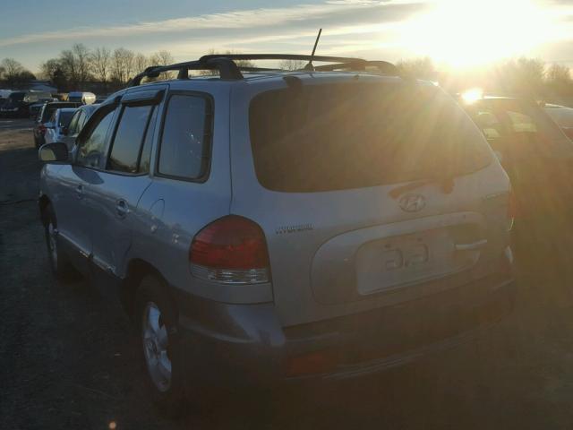 KM8SC73D45U009982 - 2005 HYUNDAI SANTA FE G GRAY photo 3