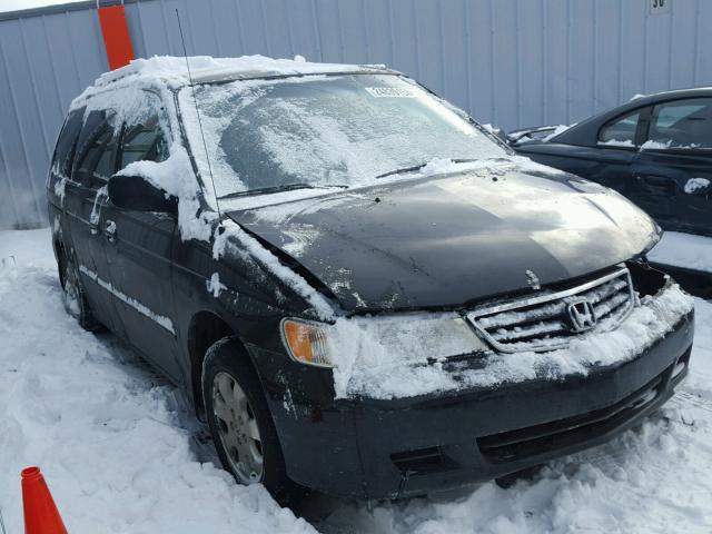 5FNRL18024B008584 - 2004 HONDA ODYSSEY EX BLACK photo 1