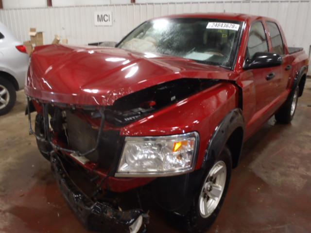 1D7HW48K68S502788 - 2008 DODGE DAKOTA QUA RED photo 2