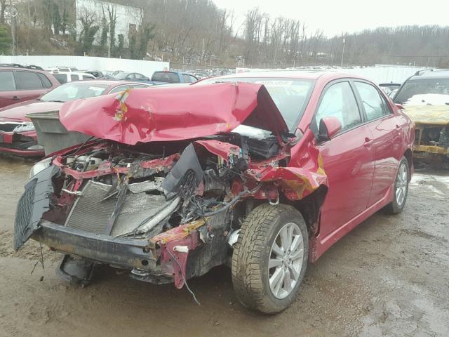 2T1BU40E29C139582 - 2009 TOYOTA COROLLA BA RED photo 2