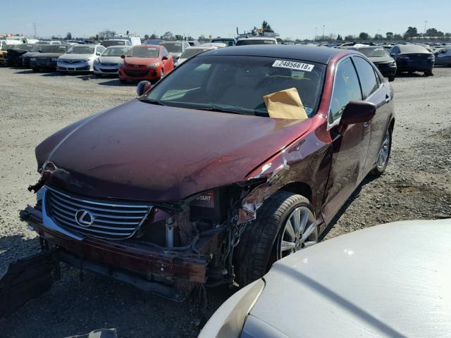 JTHBJ46G872136147 - 2007 LEXUS ES 350 RED photo 2