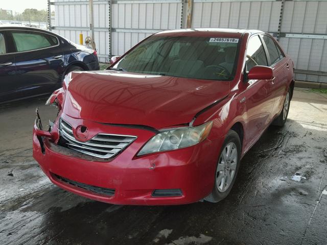 4T1BB46K98U052875 - 2008 TOYOTA CAMRY HYBR RED photo 2