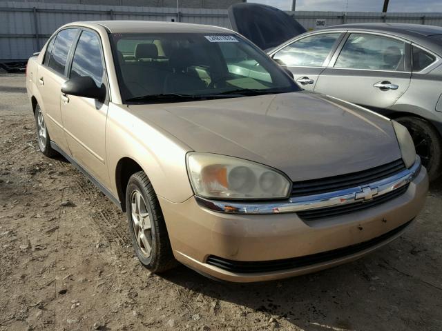 1G1ZT52875F256227 - 2005 CHEVROLET MALIBU LS TAN photo 1