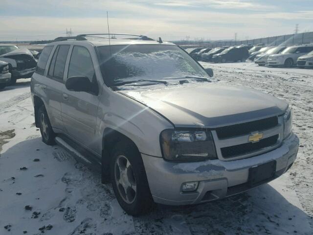 1GNDT13S862100122 - 2006 CHEVROLET TRAILBLAZE GRAY photo 1