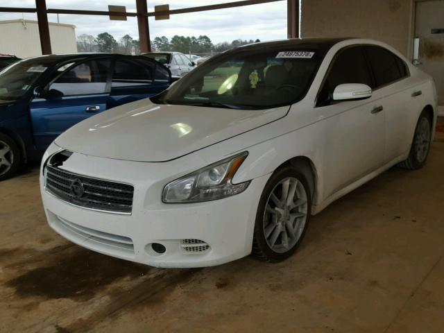 1N4AA5AP1BC854660 - 2011 NISSAN MAXIMA S WHITE photo 2