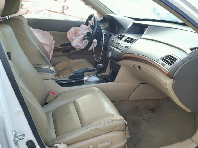 1HGCP36808A077269 - 2008 HONDA ACCORD EXL WHITE photo 5