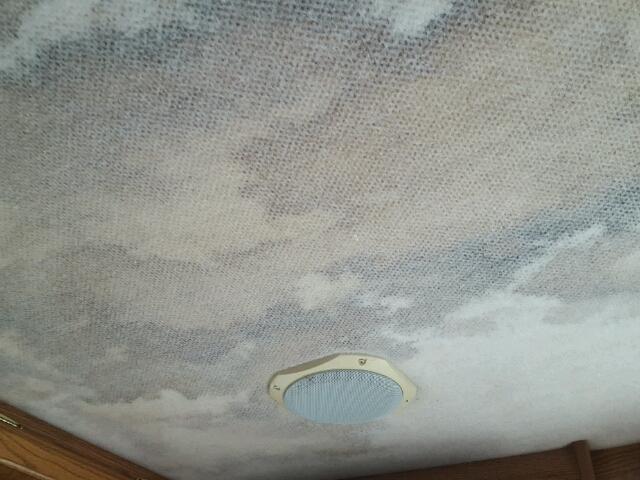 1RF120414Y1010918 - 2000 ROADMASTER RAIL EXECUTIVE/ Marrón foto 5