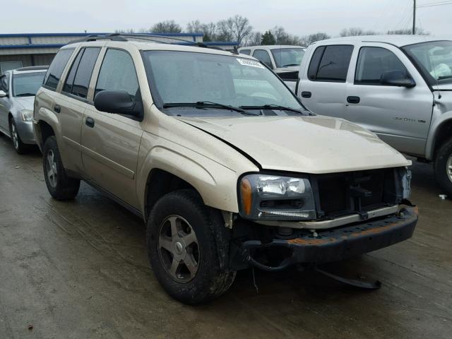 1GNDS13S862197843 - 2006 CHEVROLET TRAILBLAZE GOLD photo 1