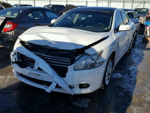 1N4AA5AP7AC803405 - 2010 NISSAN MAXIMA S WHITE photo 2