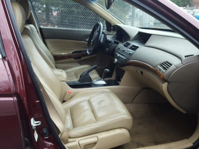 1HGCP2F80AA007030 - 2010 HONDA ACCORD EXL BURGUNDY photo 5