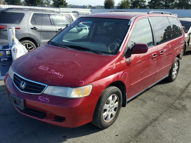 5FNRL18052B018006 - 2002 HONDA ODYSSEY EX RED photo 2