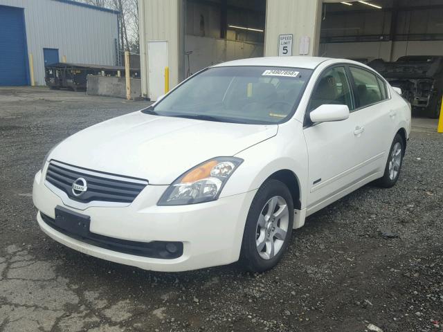 1N4CL21E69C183626 - 2009 NISSAN ALTIMA HYB WHITE photo 2