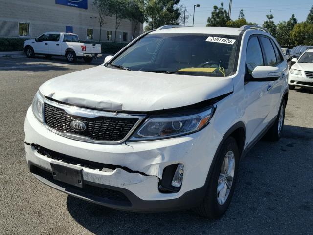 5XYKTCA66EG488604 - 2014 KIA SORENTO LX WHITE photo 2