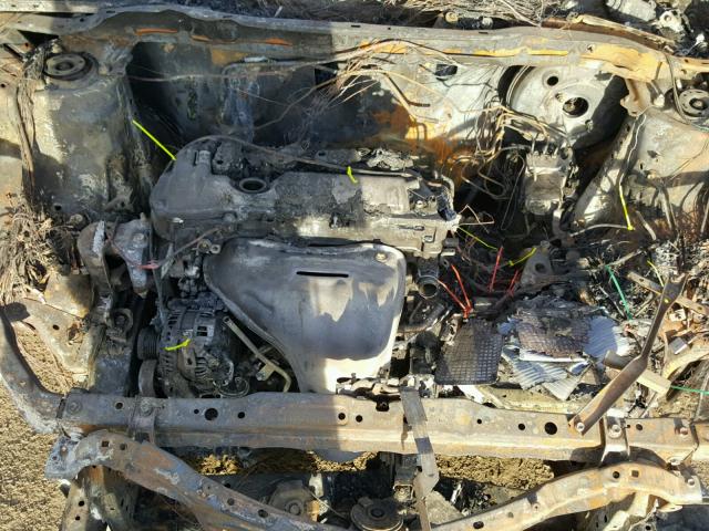 2T3RFREV7GW491445 - 2016 TOYOTA RAV4 XLE BURN photo 7