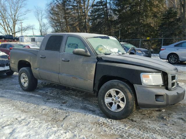 1D3HW48N08S516956 - 2008 DODGE DAKOTA QUA GRAY photo 1