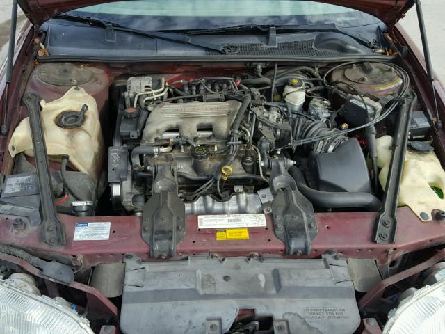 2G1WL52M3W1102090 - 1998 CHEVROLET LUMINA BAS მუქწითელი ფოტო 7