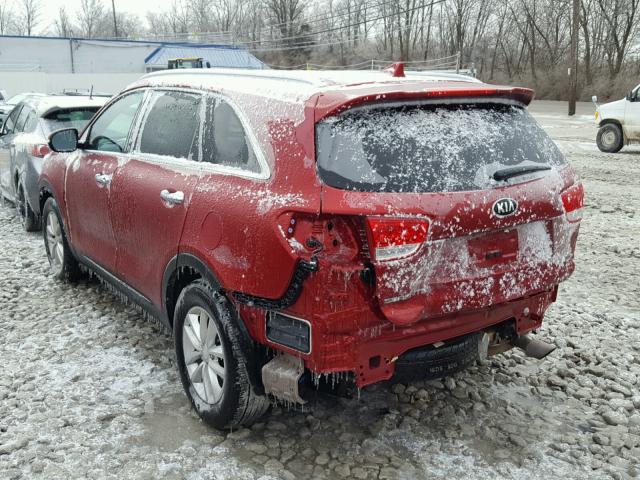 5XYPG4A33HG239008 - 2017 KIA SORENTO LX RED photo 3