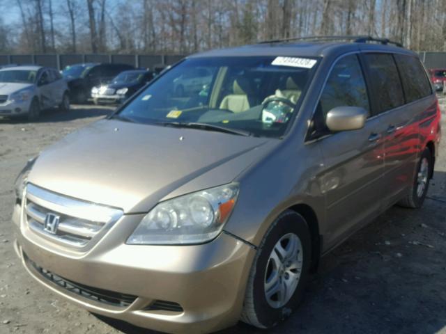 5FNRL38775B011832 - 2005 HONDA ODYSSEY EX GOLD photo 2