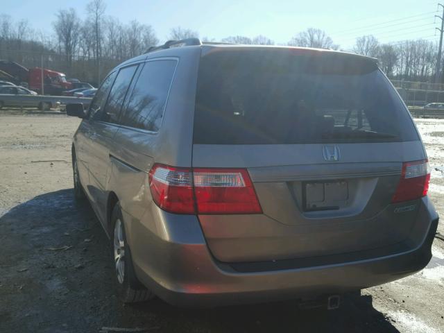 5FNRL38775B011832 - 2005 HONDA ODYSSEY EX GOLD photo 3