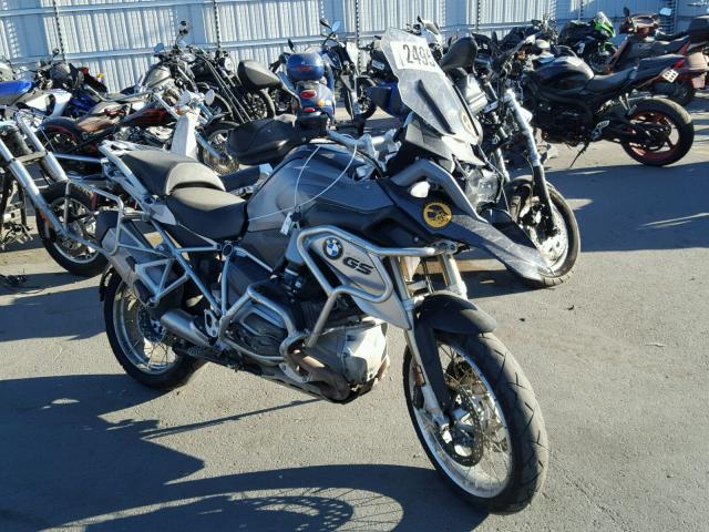 WB10A1105DZ184268 - 2013 BMW R1200 GS GRAY photo 1