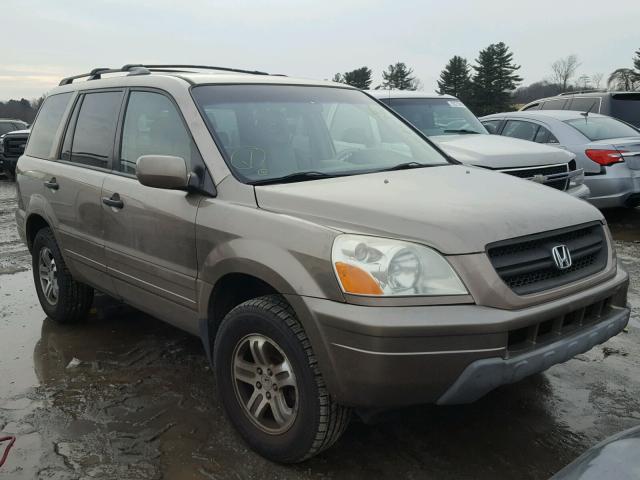 2HKYF18634H508536 - 2004 HONDA PILOT EXL GOLD photo 1