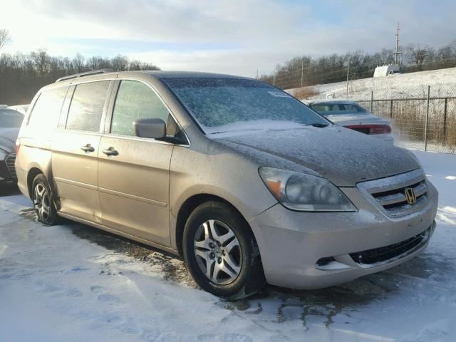 5FNRL38725B040011 - 2005 HONDA ODYSSEY EX GOLD photo 1