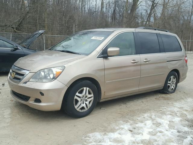 5FNRL38725B040011 - 2005 HONDA ODYSSEY EX GOLD photo 2