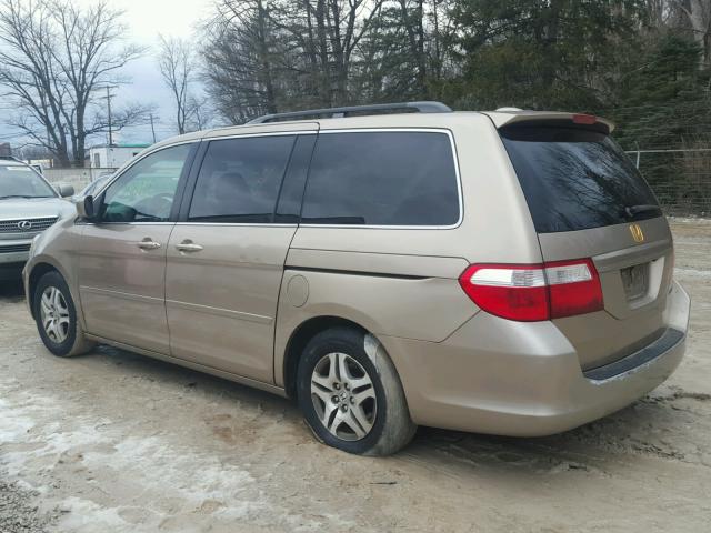 5FNRL38725B040011 - 2005 HONDA ODYSSEY EX GOLD photo 3