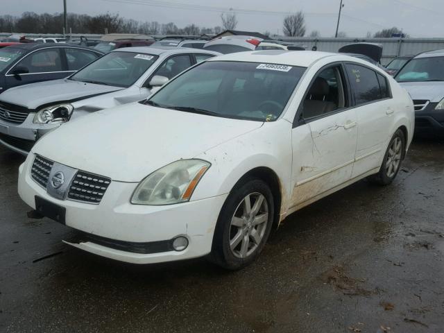 1N4BA41E74C872340 - 2004 NISSAN MAXIMA SE WHITE photo 2