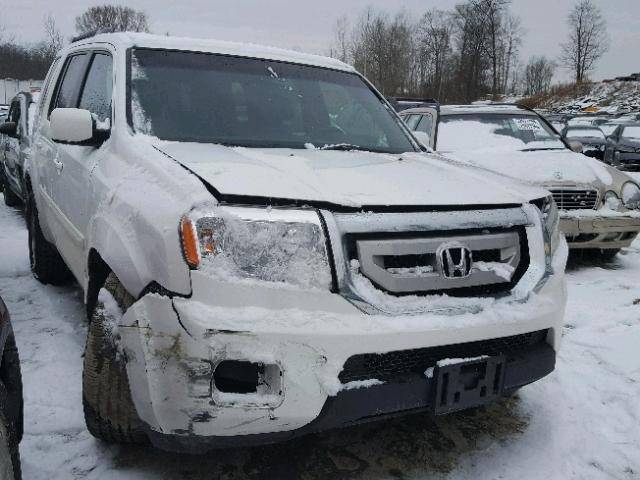 5FNYF4H58BB062243 - 2011 HONDA PILOT EXL WHITE photo 1