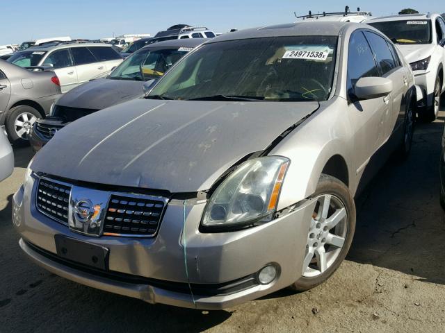 1N4BA41E75C868483 - 2005 NISSAN MAXIMA SE TAN photo 2