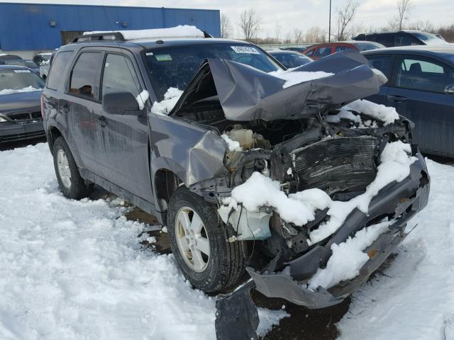 1FMCU0D73AKC06407 - 2010 FORD ESCAPE XLT GRAY photo 1