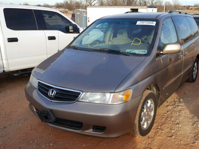 5FNRL18624B102176 - 2004 HONDA ODYSSEY EX GOLD photo 2