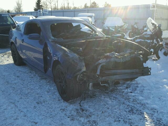 1ZVBP8CF5D5225412 - 2013 FORD MUSTANG GT BLUE photo 1