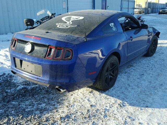 1ZVBP8CF5D5225412 - 2013 FORD MUSTANG GT BLUE photo 4