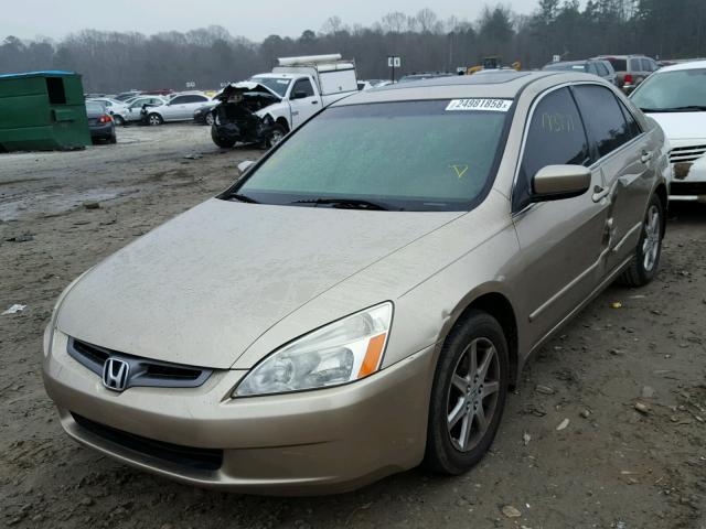 JHMCM56673C057002 - 2003 HONDA ACCORD EX GOLD photo 2