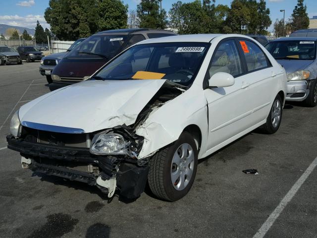 KNAFE122785509269 - 2008 KIA SPECTRA EX WHITE photo 2