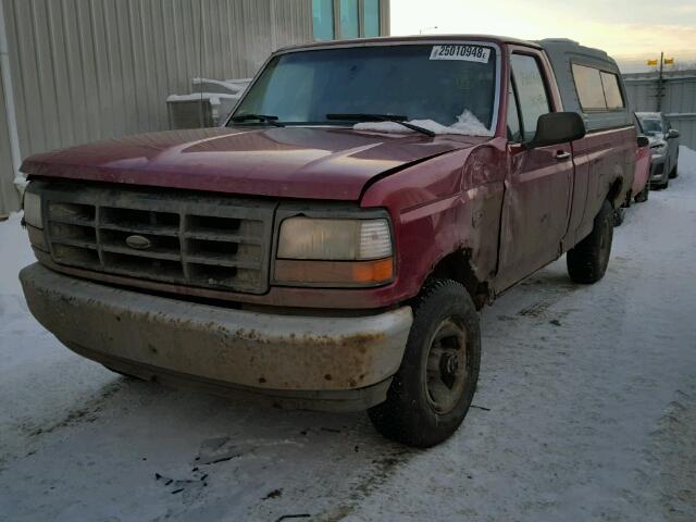 1FTEF14YXSLA76420 - 1995 FORD F150 RED photo 2