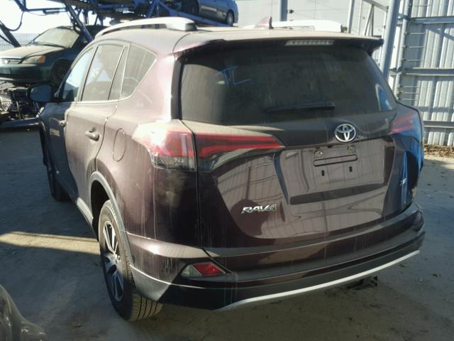 2T3WFREV7GW294696 - 2016 TOYOTA RAV4 XLE PURPLE photo 3