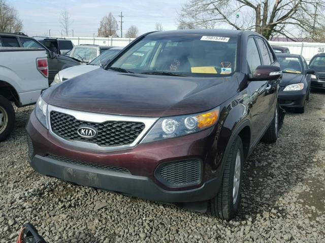 5XYKT3A18BG126595 - 2011 KIA SORENTO BA MAROON photo 2