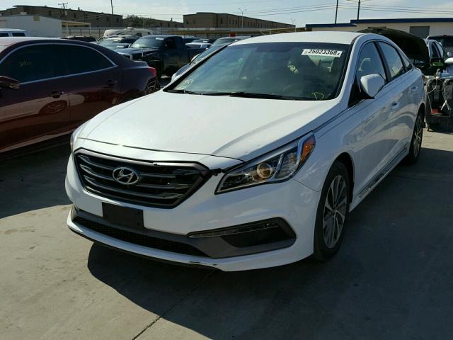 5NPE34AF0FH062856 - 2015 HYUNDAI SONATA SPO WHITE photo 2