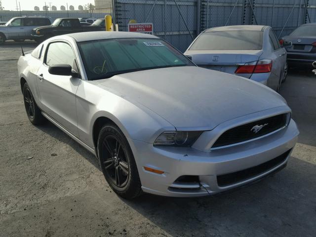 1ZVBP8AM8D5278879 - 2013 FORD MUSTANG SILVER photo 1