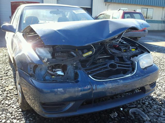 1NXBR12E31Z442841 - 2001 TOYOTA COROLLA CE BLUE photo 9